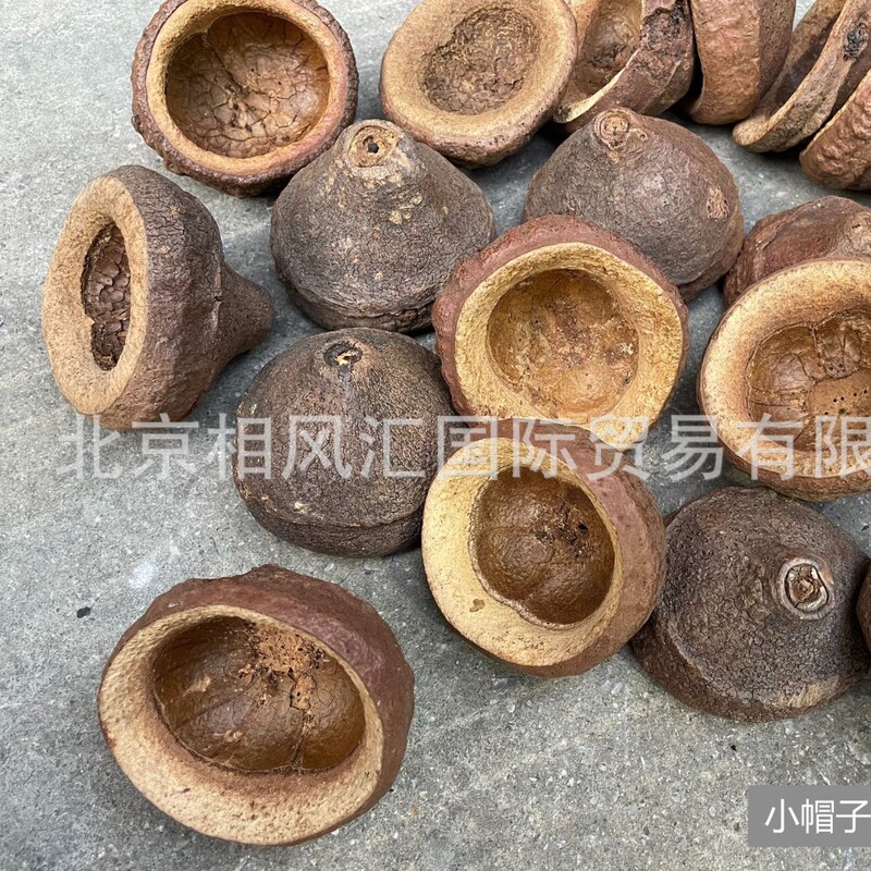 [Small Hat] Imported Dried Fruit, Dried Shell, Fruit Specimen Photo Frame, Decorative Fish Tank Landscaping Collection, Natural Plants
