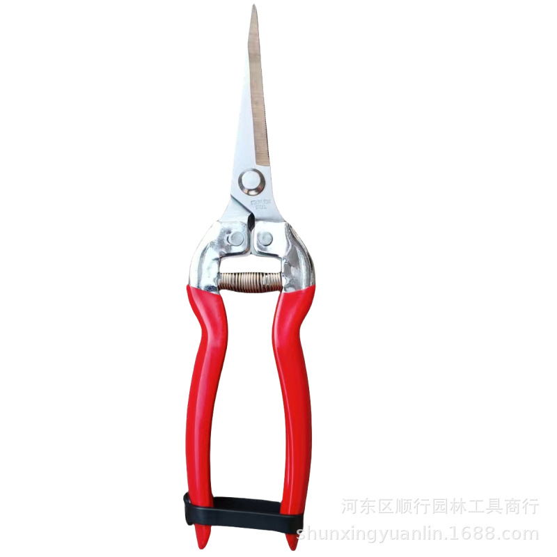 摘果剪不锈钢稀果剪采摘果树树枝修枝盆景工具剪蔬果剪厂家批发