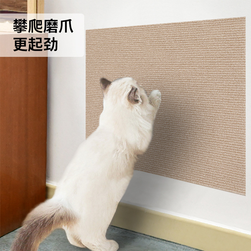 카키 [포장/라벨링/생성/크기 등을 주문할 수 있습니다]]