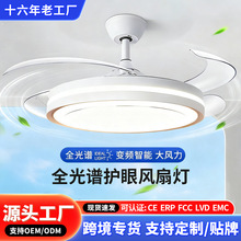 ���α�Ƶ���ȵ��¿ŷ�������ҿ������ܾ������ȵ�����һ��ƾ�