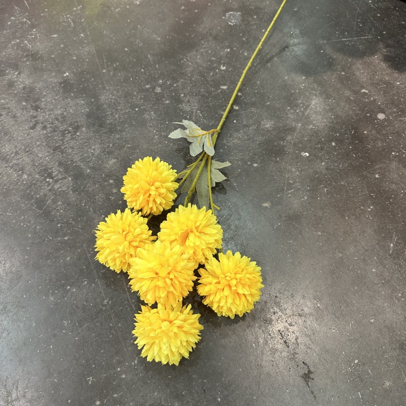 6 header ball chrysanthemum