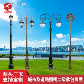 太阳能灯;道路照明灯;路灯