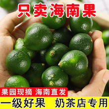 ����С���������5�����r�����r���������������̲��10