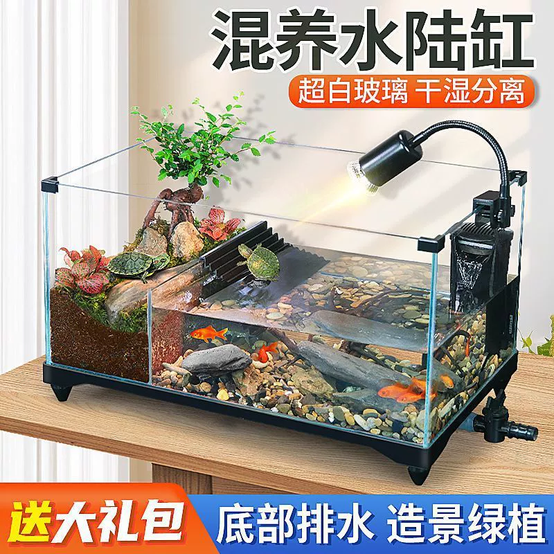 Аквариум для черепах для домашнего использования с платформой для загара, стеклянный аквариум для разведения черепах, экологический аквариум для водного и наземного ландшафта, доступен в различных размерах для небольших и больших вилл.