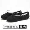 On behalf of dance shoes, children and girls soft bottom girl pink professional training shoes boys practice dance shoes Chinese national dance