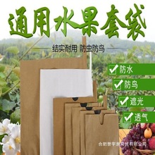 枇杷梨子芒果专用套袋苹果桃保护袋包黄桃柚子水果袋防虫
