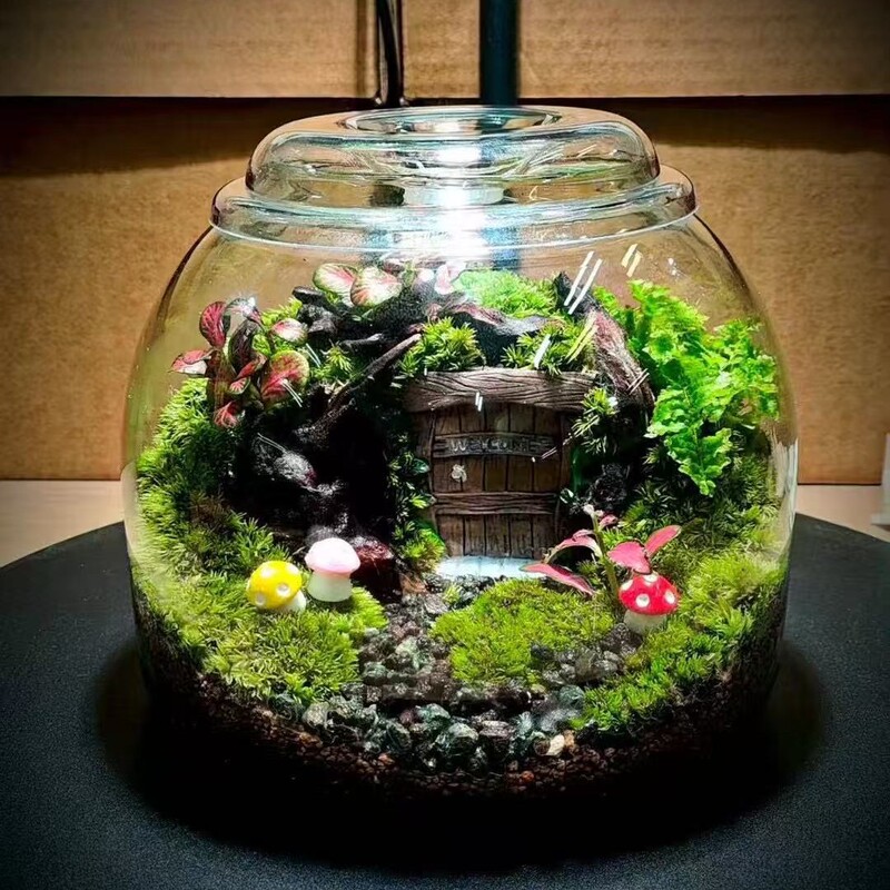 Spherical Micro-Landscape Ecological Bottle with Moss and Succulent Plants, Pc Transparent Lid, Breathable and Moisture-Retaining High Borosilicate Glass