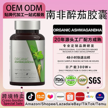 OEM�Ϸ�����Ӳ�z�Ҹߝ����ȡ��ӡ���˅�ORGANIC ASHWAGANDHA�z��