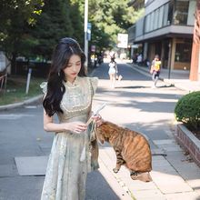 温柔风改良新中式高品质盘扣旗袍领小飞袖收腰印花夏款优雅连衣裙