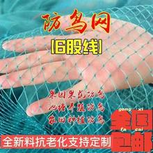 果园防鸟网新料抗老化大棚防鸟樱桃蓝莓草莓葡萄苹果梨树防鸟天网