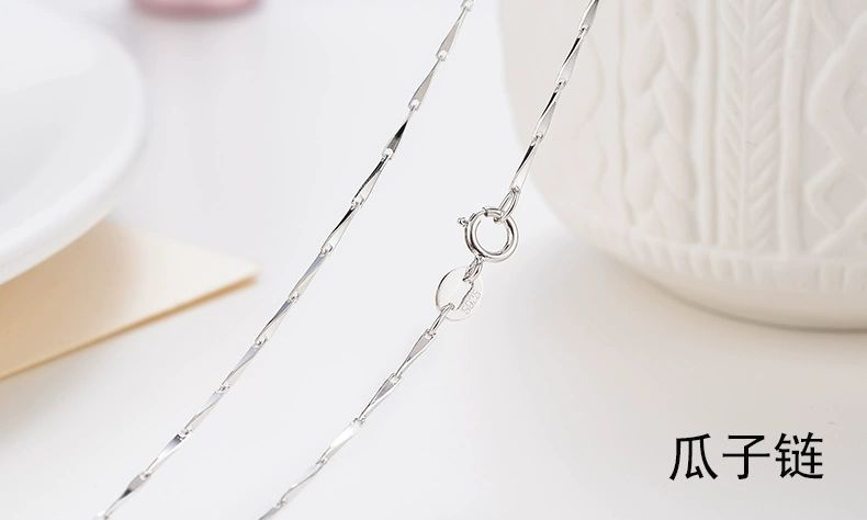 멜론 씨앗 사슬