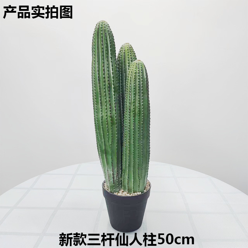 Simulación nórdica Planta verde Pilar de hadas Cactus grande piso interior sala de estar ropa tienda decoración de ventana