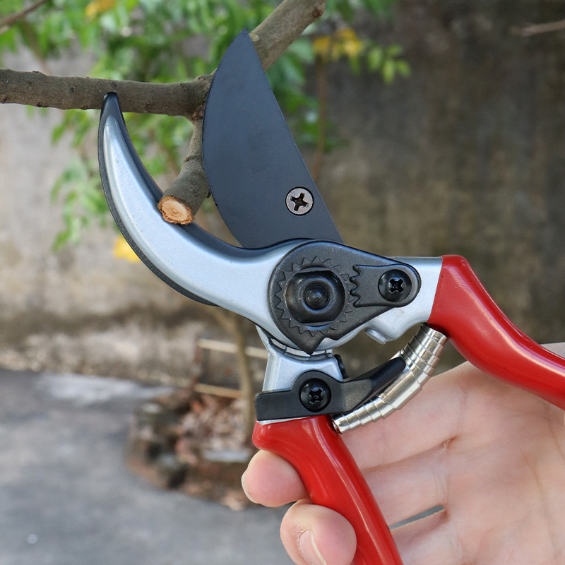 Herramientas de jardinería Cuchillo de podar de acero SK5 de alta dureza Cortar de árboles frutales Tijeras de jardín Tijeras de ramas gruesas Floristería al por mayor
