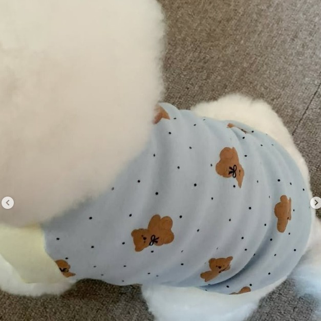 26 primavera y verano delgada cuatro patas abdominal abrigo abrigo abrigo abrigo pijama gato ropa de perro ropa de perros pequeños y medianos image 13