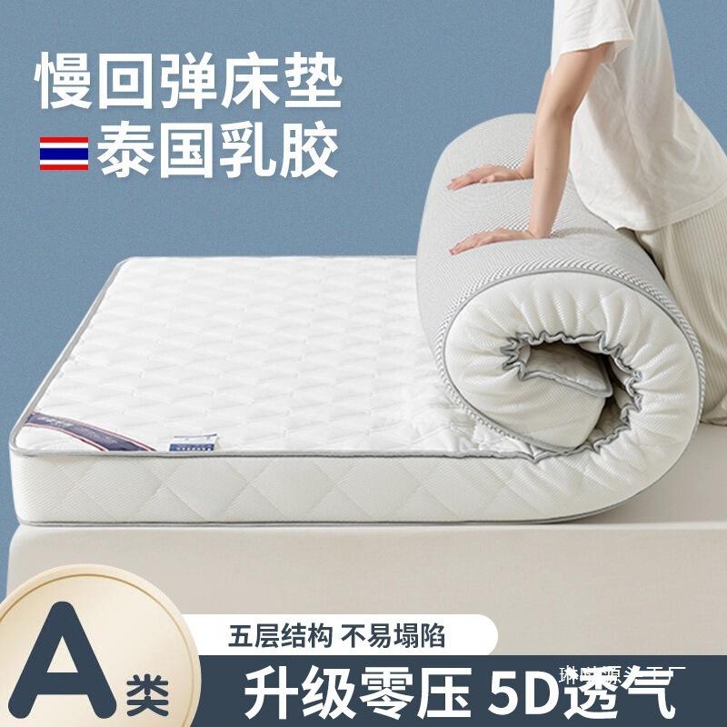 Newly Upgraded Latex Mattress for Rent, Home Floor Sleeping Mat, Student Thickened Tatami Mattress, Dormitory Soft Cushion Wholesale