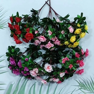 �S�����l���滨���N����c�ҾӲ廨�zӰ���������G�������û��ٻ�
