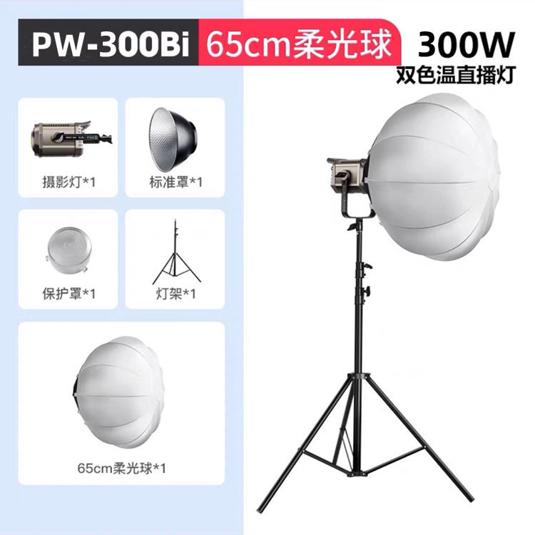 極勝PW-300Bi 2色温度300w大電力直播間ledランプアナウンサー撮影灯直播補光灯|undefined