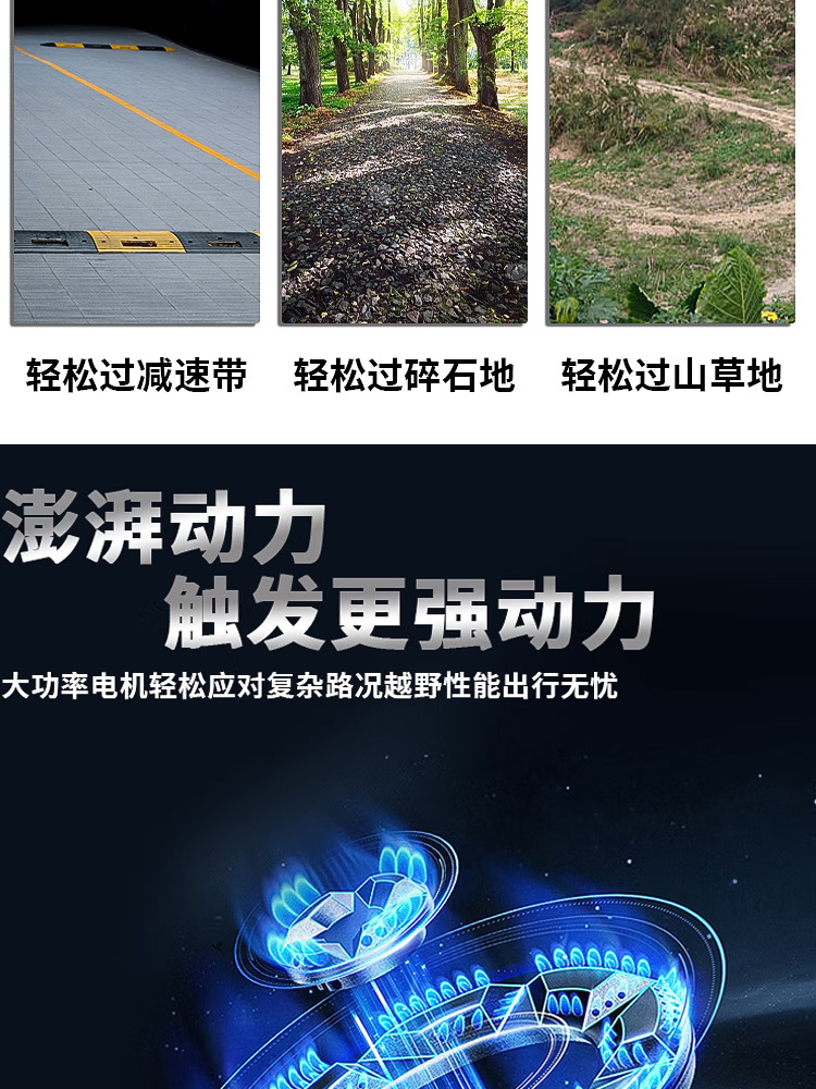 Export City Management Security Patrol Vehicle 2-4 Passenger Pickup Patrol Vehicle for Scenic Spots and Factories, Security Guard Patrol Vehicle