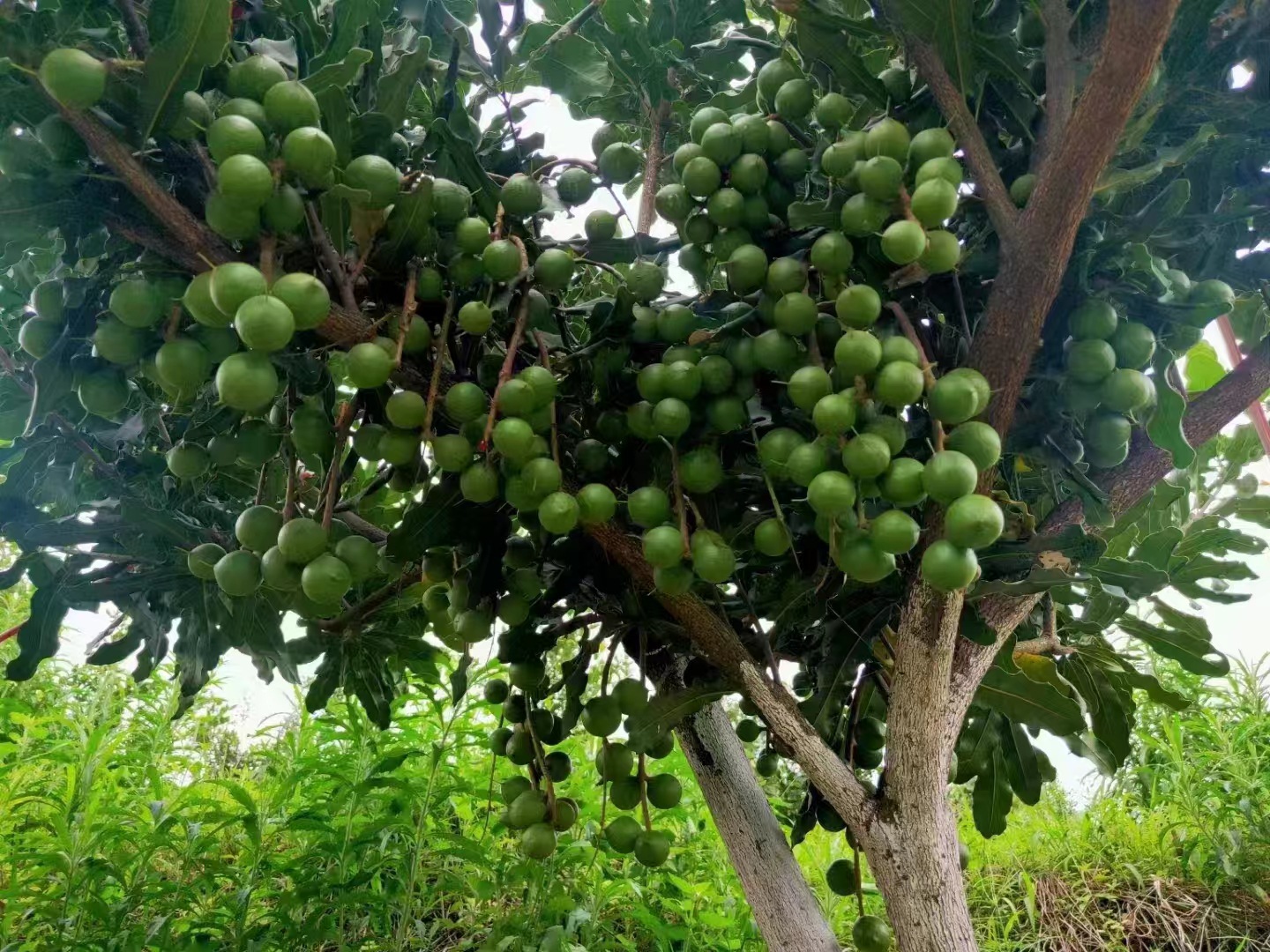 23f7258ee2a2363d09d0aac4c221f9