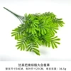 Simulated bunch of green plants and large mimosa