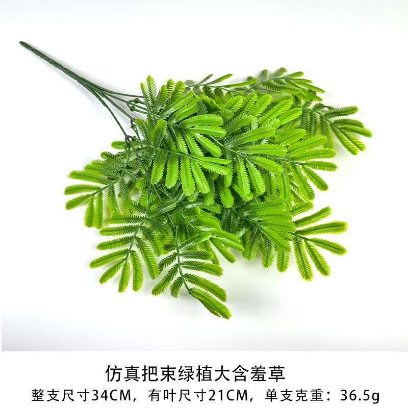 녹색 식물과 큰 미모사의 시뮬레이션 묶음