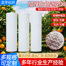 ȫ���ϰ�ɫ��ꖾW ���ٴ�����ꖹ��@���~��˪ͥԺ�����⾀����W