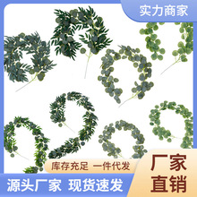 �ٗlڅ���ȼ�����Y�b�������Gֲ�~����ֲ��羳���~��Ʒ2026