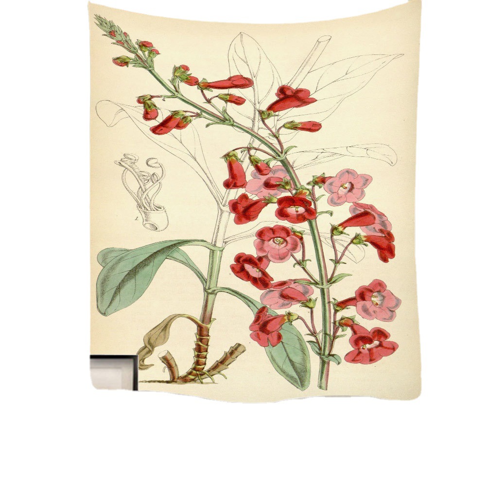 波西米亚挂毯ins房间装饰挂布花卉挂毯民宿装饰背景墙布挂毯