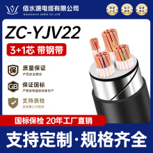 |ZC-YJV22~о3+1о0.6-1KVɟo~ȼͨ늾