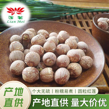 �A���tɏ��ɏ�Ӹ�؛����ܛŴ�����Ҝ�������Ʒ���aʳ�ğo��