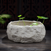水仙花铜钱草水培花盆水养的石头盆景碗莲睡莲个性创意陶瓷无雯沃
