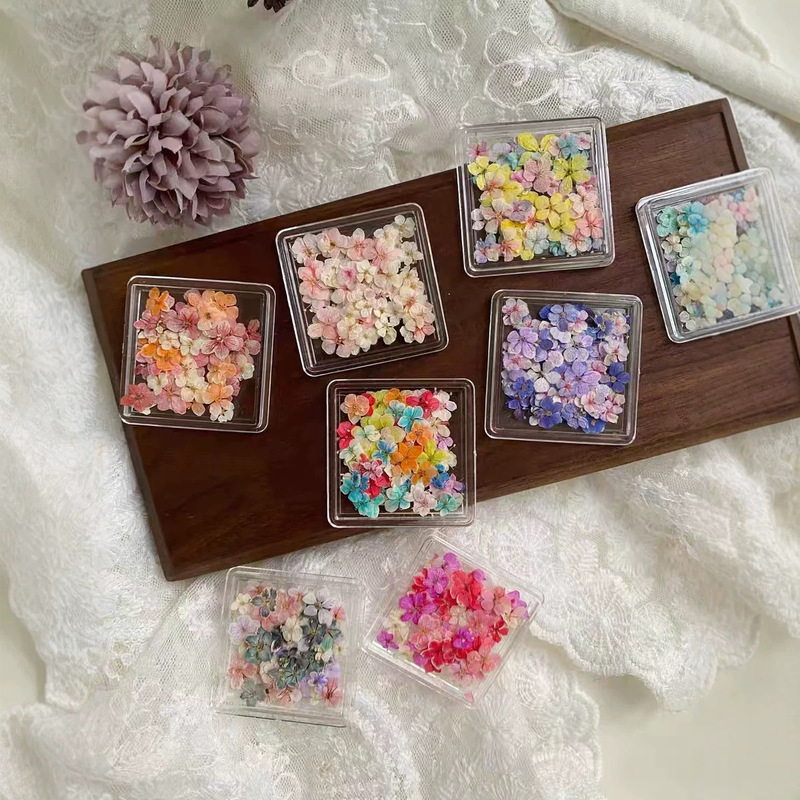 Nail art accessories, dried flower nail decorations, Japanese-style Monet oil painting petals, small floral fragments, DIY mixed dried flower materials