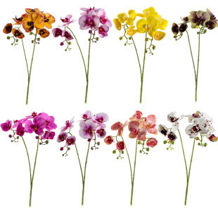 �����m��ˇ�ٻ������ϻ��[�O�廨���ϼҾӿ͏d�����[���b�����