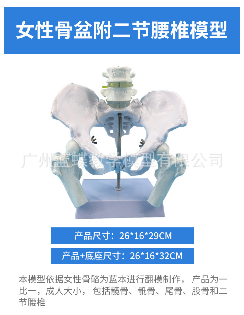 详情_10