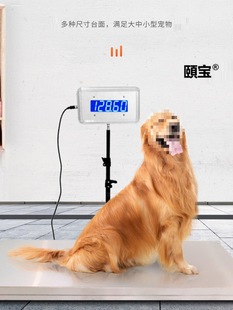 ���P���ӌ����w�سӌ����tԺ�ù����Q�ع��Q���Q�����