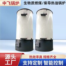 立式生物质导热油锅炉有机热载体燃煤多燃料设计节能多燃料适配