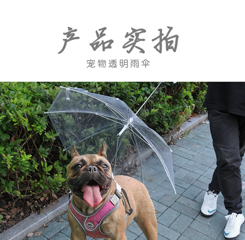 宠物雨伞太阳伞