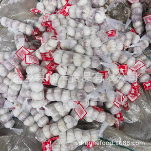 �r��5.5-6.0cm ���N���bҎ��  RED GARLIC EXPORTING����