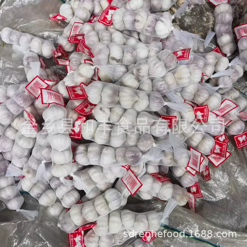 鲜蒜5.5-6.0cm 各种包装规格  RED GARLIC EXPORTING大蒜