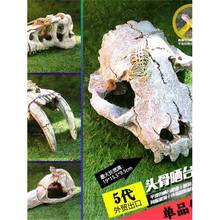 仿真恐龙头骨宠物蜥蜴爬虫屋造景爬宠饲养箱守宫蛇躲避窝鬃狮晒台