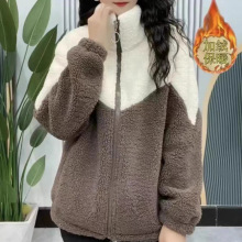 ���ë�u���q������Ů2023�����ӽq��ů�n�挒�������ش�a���L��