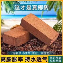 高泡发椰砖土养花压缩通用种花泥土盆栽种菜有机脱盐绿萝补货啦