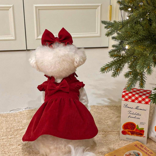 Small dog Christmas princess dress Autumn and Winter Teddy Bichon Frise Pomeranian small dog pet cat clothes winter