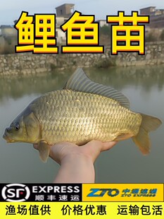 ���~�絭ˮ�Bֳ�����S���~�ش󵾻��~��������������С�~��tβ��