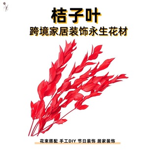 �羳���������~�����~�Ҿ��b��������������նY��Ӽ��b��R�d