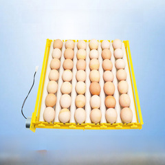 Automatic Incubator Egg Trays for Chickens, Ducks, Quail, Motorized Small Home Incubator Accessories Cross-border Supply
