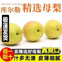 正宗新疆库尔勒香梨当季新鲜水果特级梨子薄皮一整箱全母梨