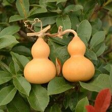 С���J��Ȼ���J������������[������S�ҵؔ�С����Ҿӿ���