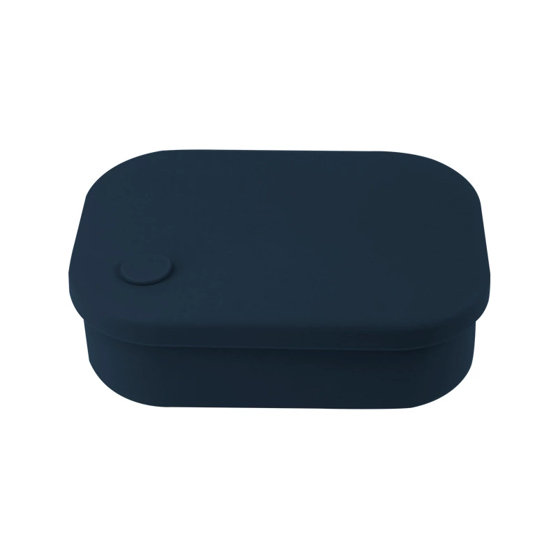 Square Silicone Lunch Box, Multi-Compartment Mini Bento for Children & Adults, 4-Section