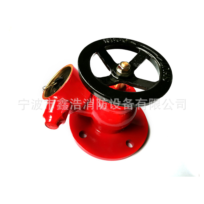 Flange landing valve BS5041 standard 英标法兰消防栓